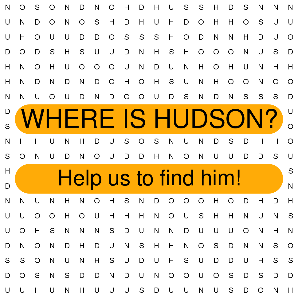 HUDSON