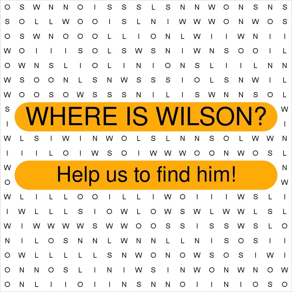 WILSON